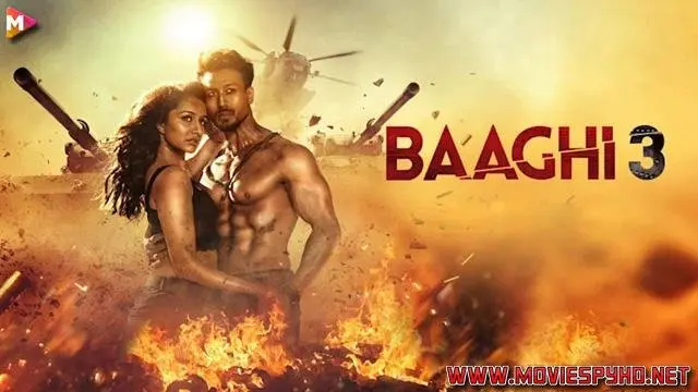 Baaghi 3